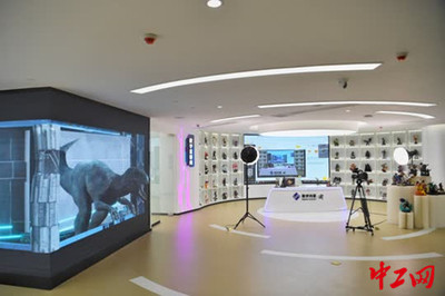 重慶南岸區(qū)實現(xiàn)5G全覆蓋，網(wǎng)絡(luò)技術(shù)服務(wù)強力驅(qū)動智能制造新飛躍